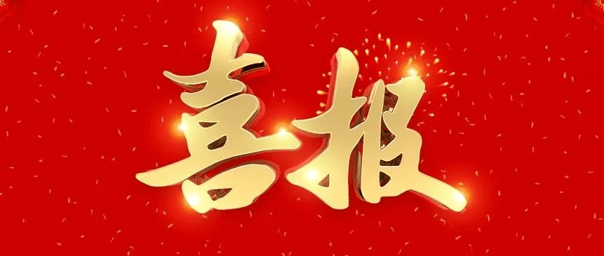 喜报丨刘伟上榜“2024十大重庆经济年度人物”