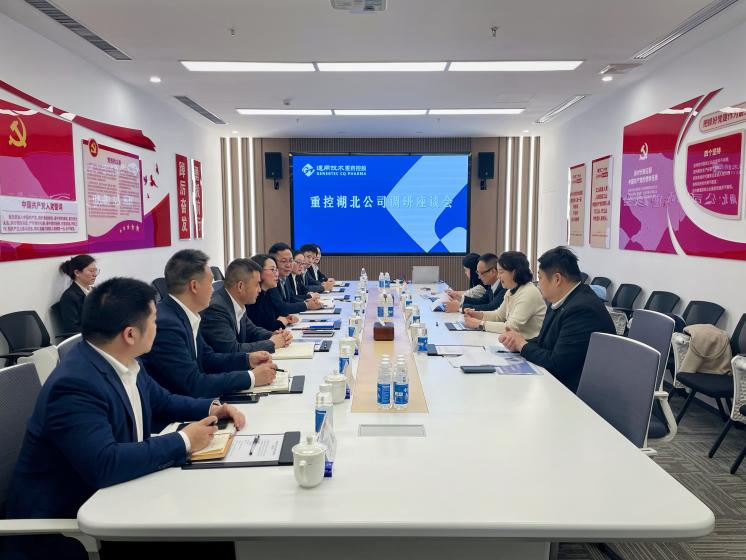 通用技术集团副总经理、党组成员古琎调研重控湖北